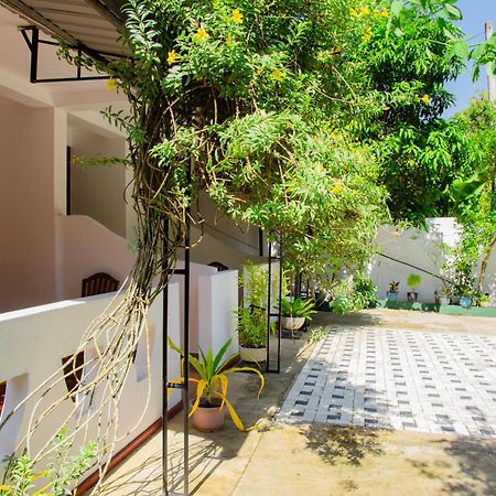 Hispaniola Inn Mirissa Zewnętrze zdjęcie